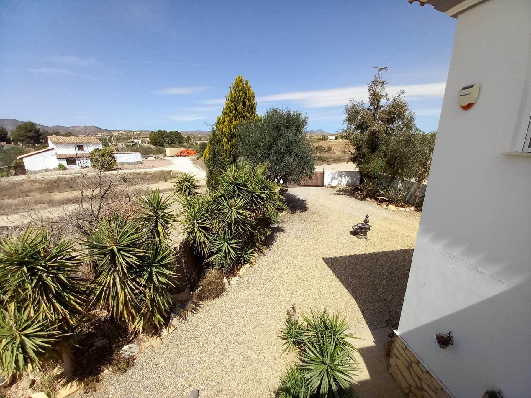 For sale of house in Albox