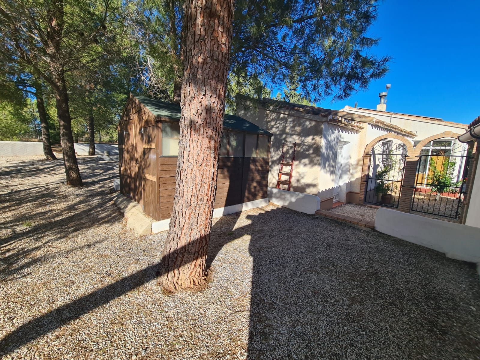 For sale of house in Vélez-Rubio