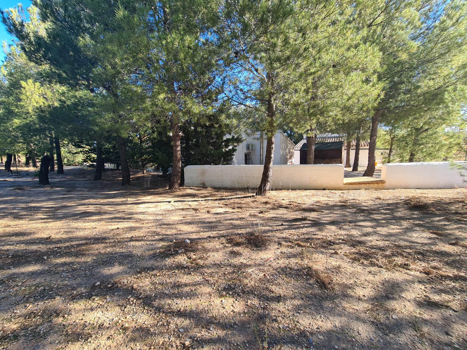 For sale of house in Vélez-Rubio
