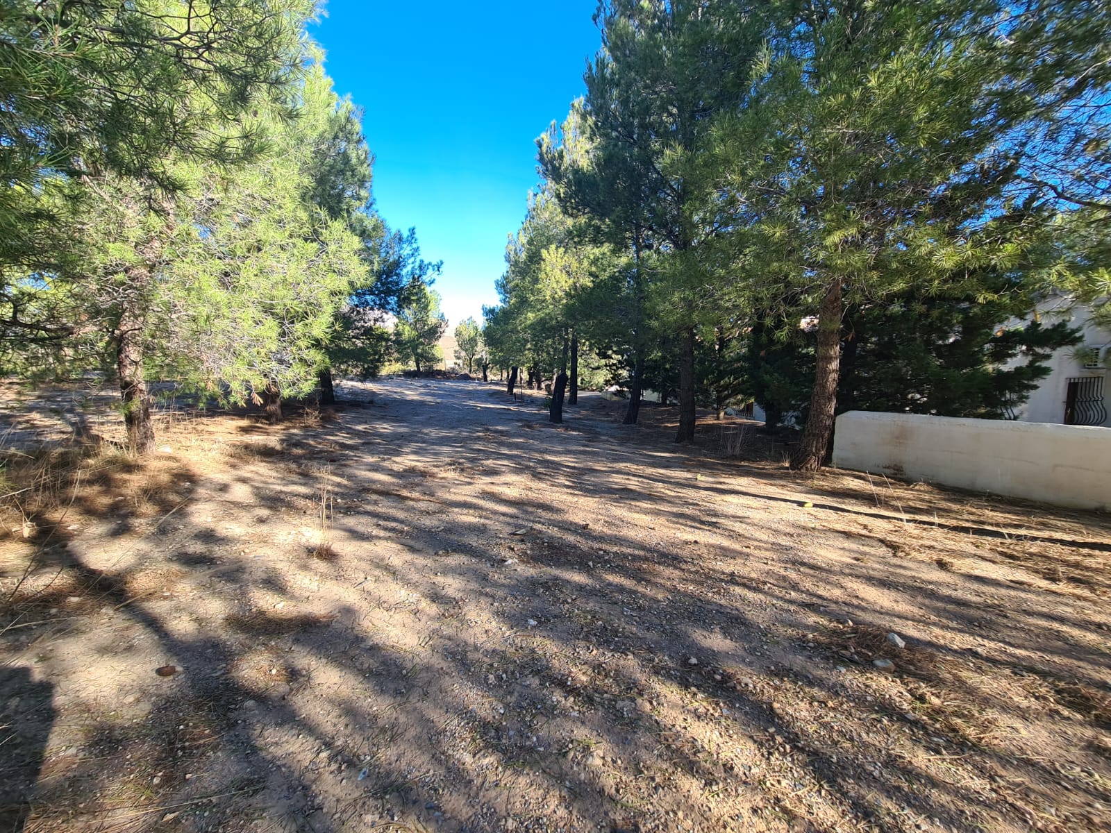 For sale of house in Vélez-Rubio