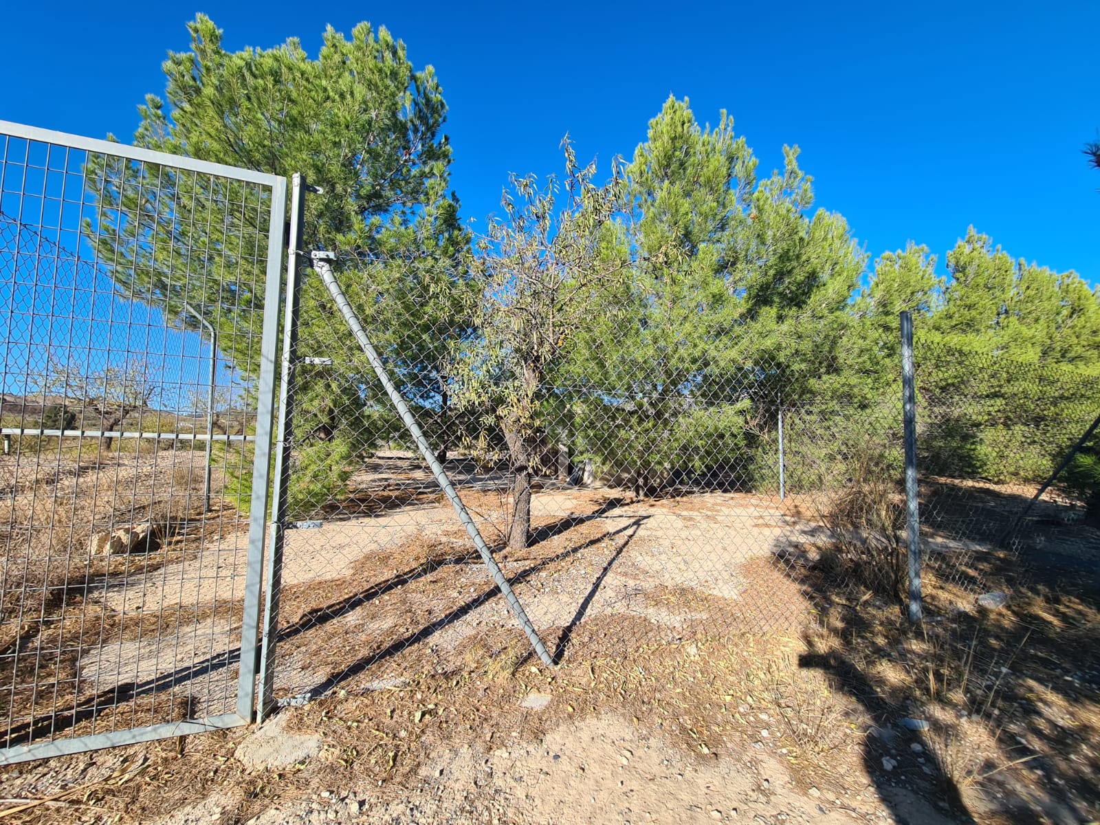 For sale of house in Vélez-Rubio