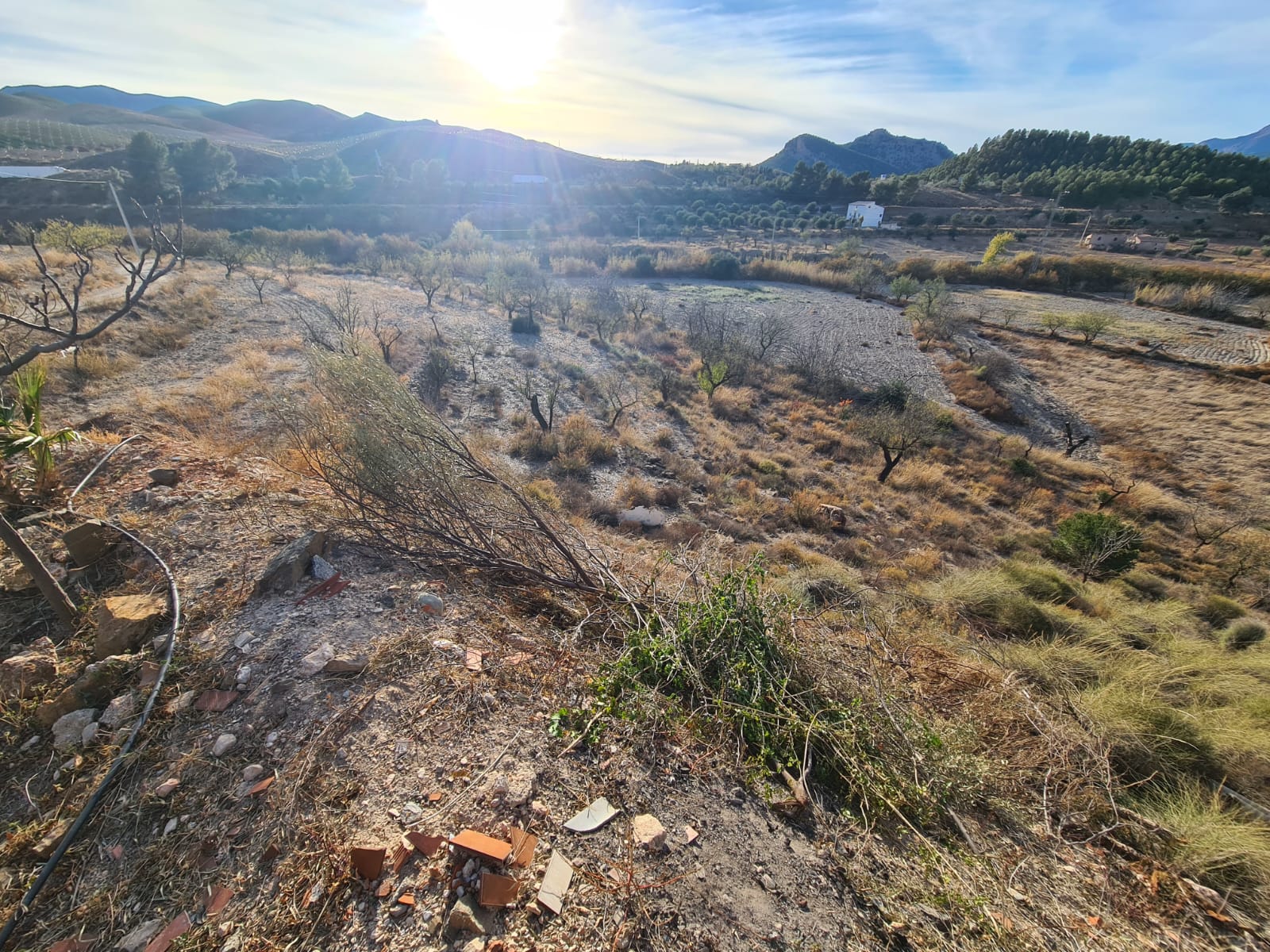Venta de masía en Vélez-Rubio