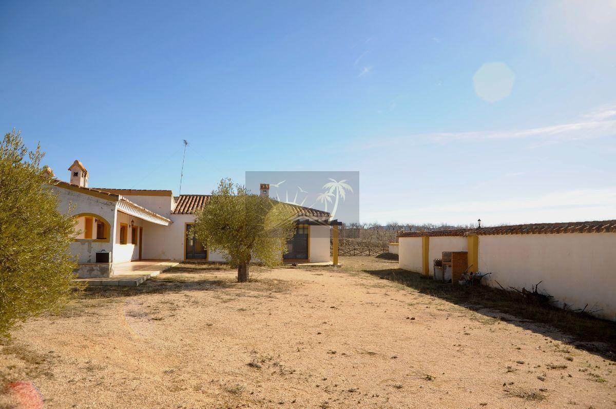 For sale of masia in Chirivel