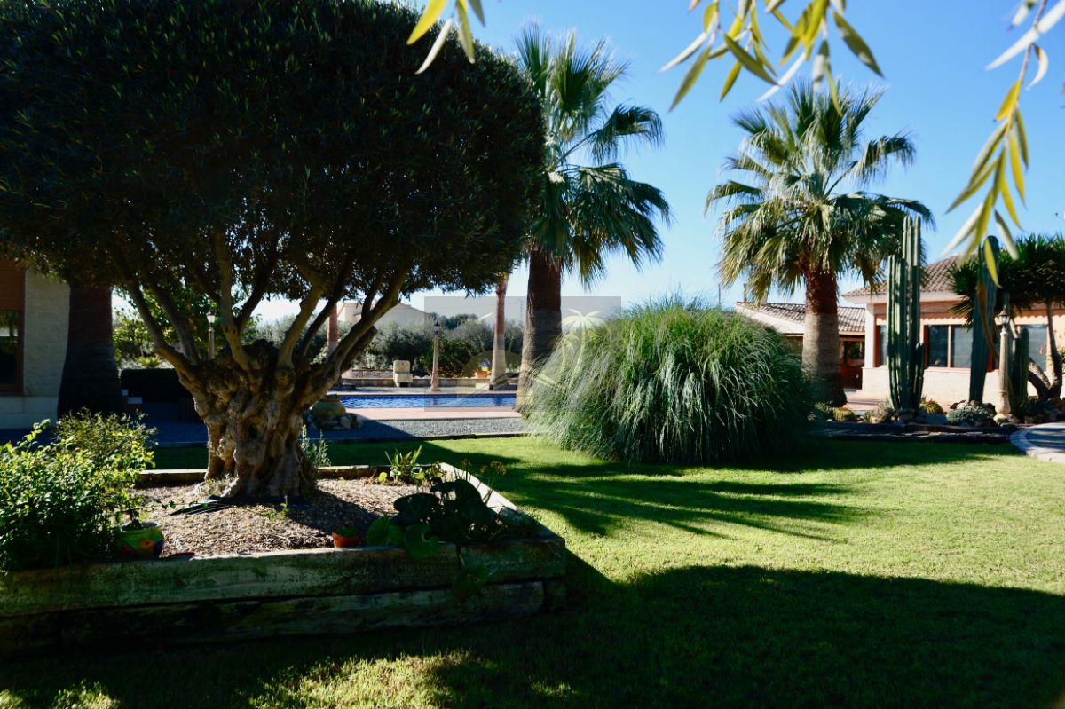 For sale of villa in Lorca