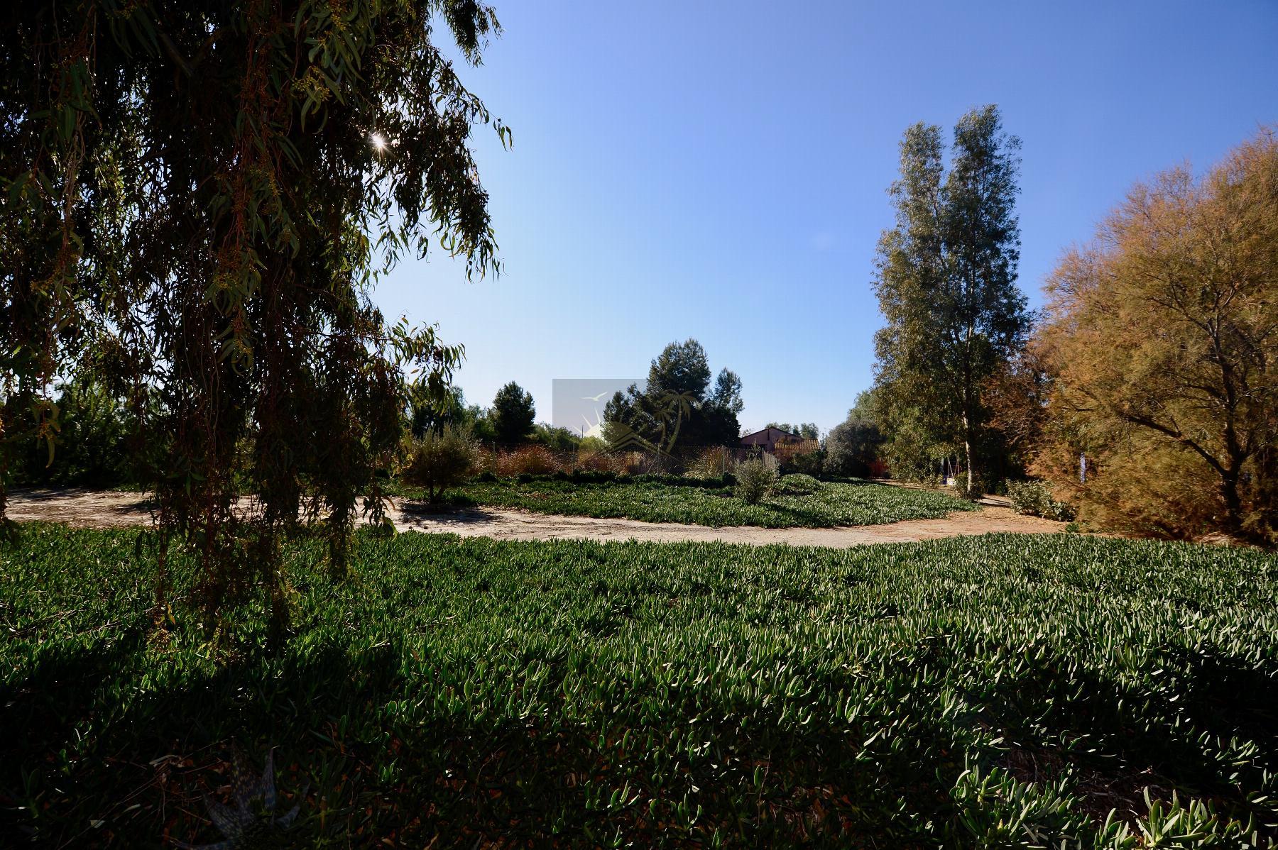 For sale of masia in Lorca