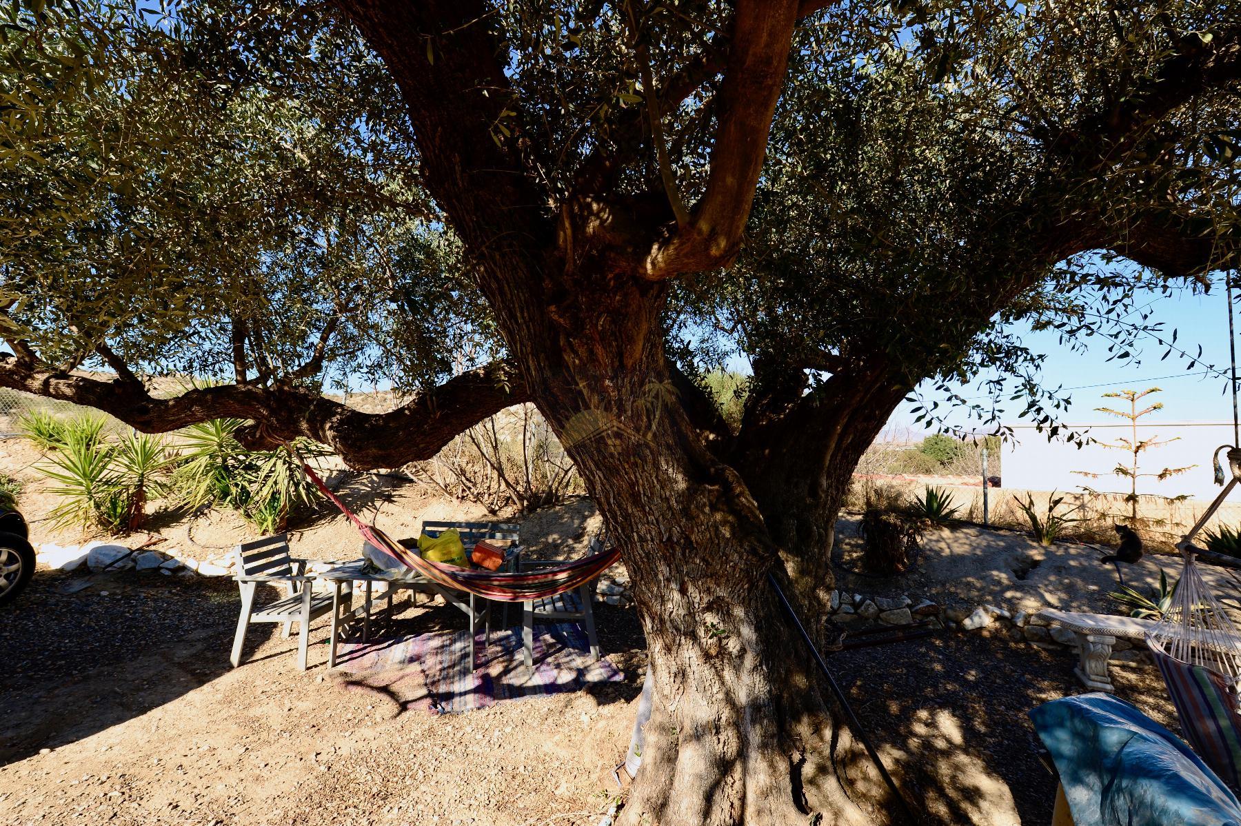 For sale of bungalow in Arboleas