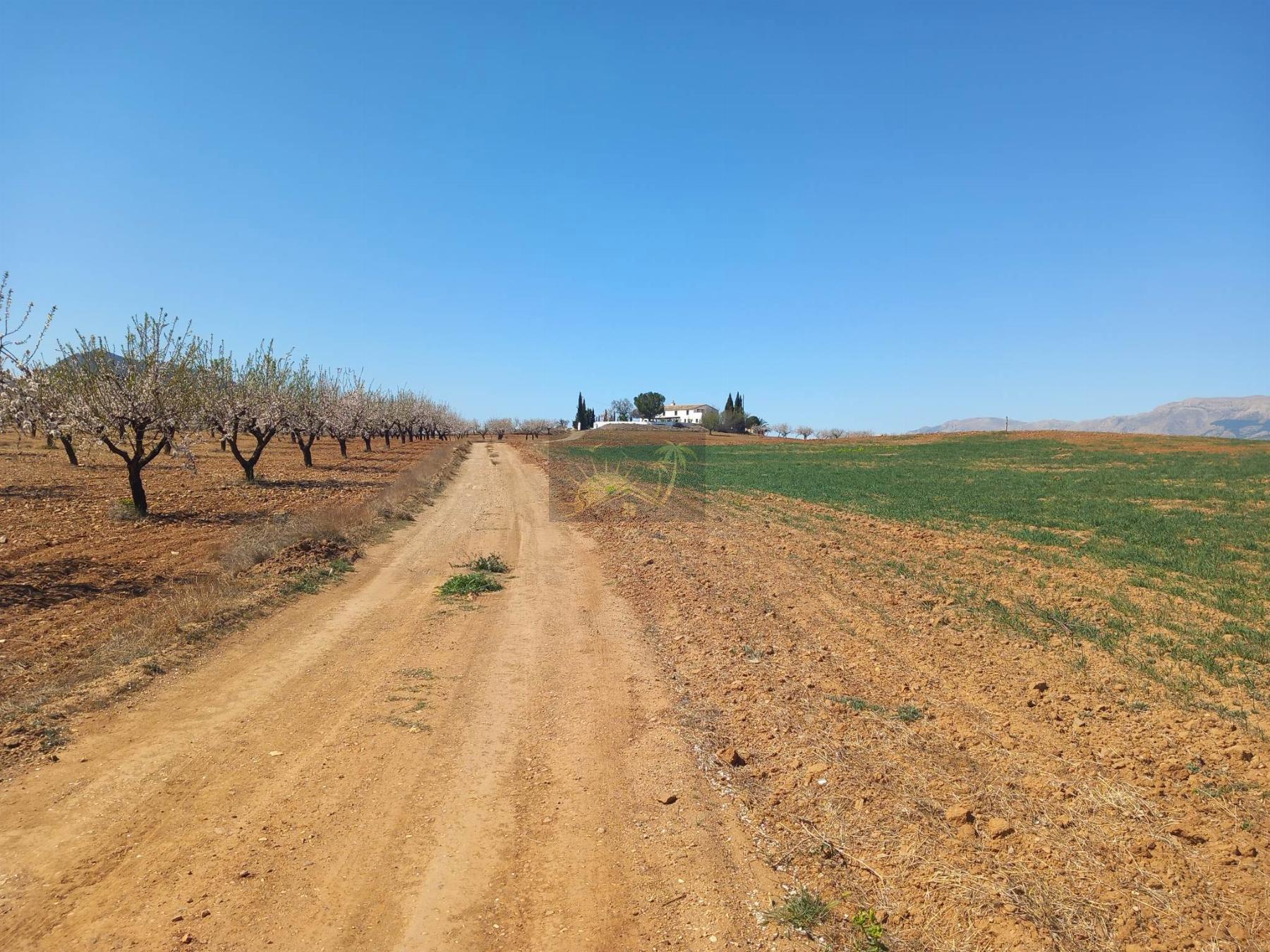 For sale of masia in Vélez-Rubio