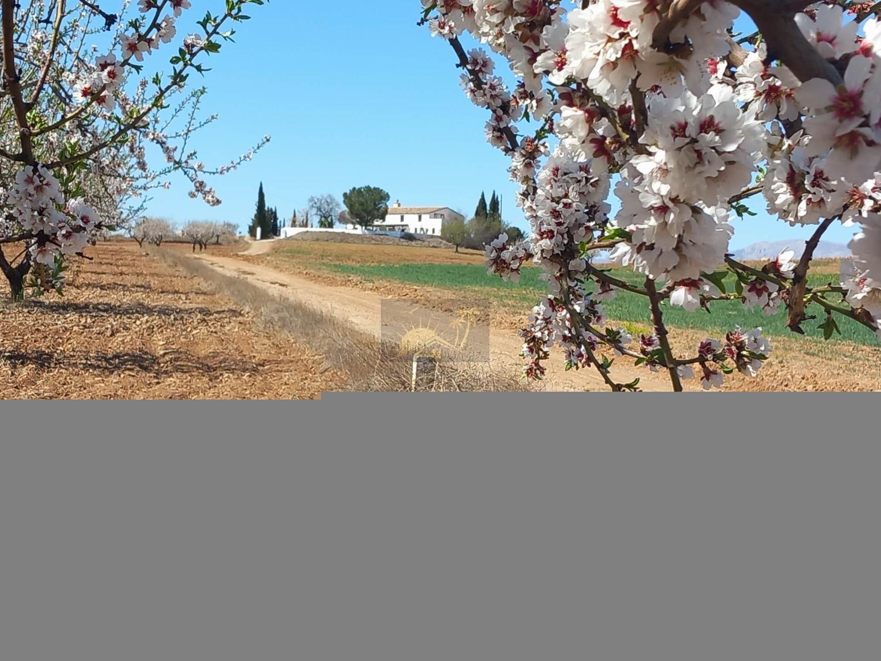 For sale of masia in Vélez-Rubio