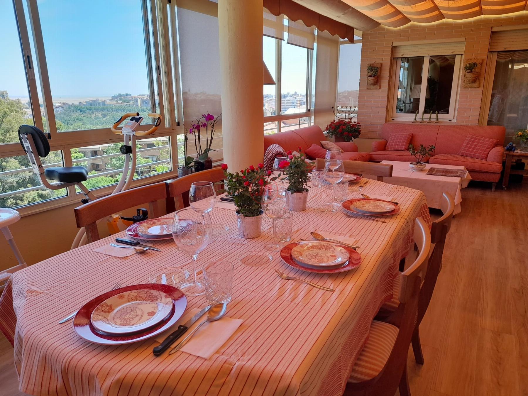 Terraza