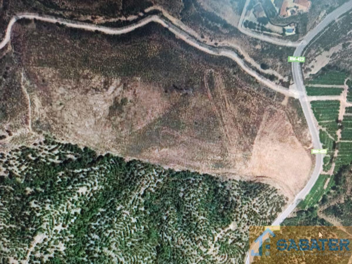 For sale of rural property in Fortuna