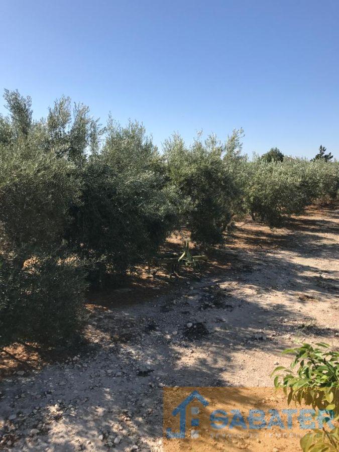 Venta de casa en Fortuna Venta de casa en Fortuna