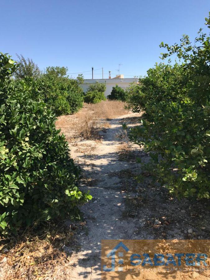 Venta de casa en Fortuna Venta de casa en Fortuna