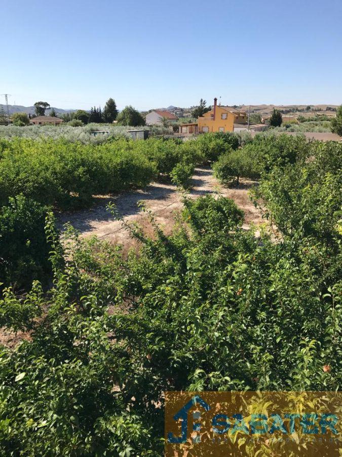 Venta de casa en Fortuna Venta de casa en Fortuna