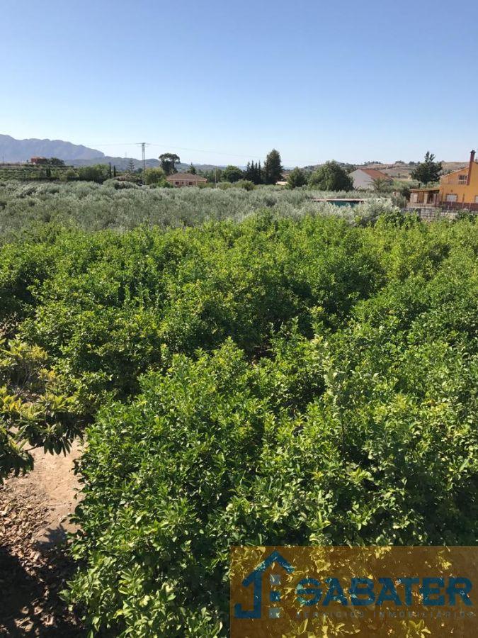 Venta de casa en Fortuna Venta de casa en Fortuna