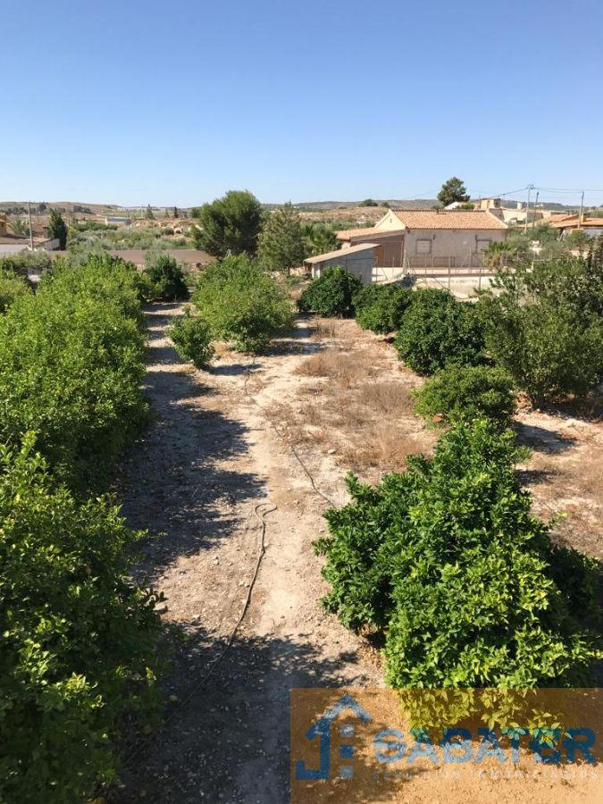 Venta de casa en Fortuna Venta de casa en Fortuna