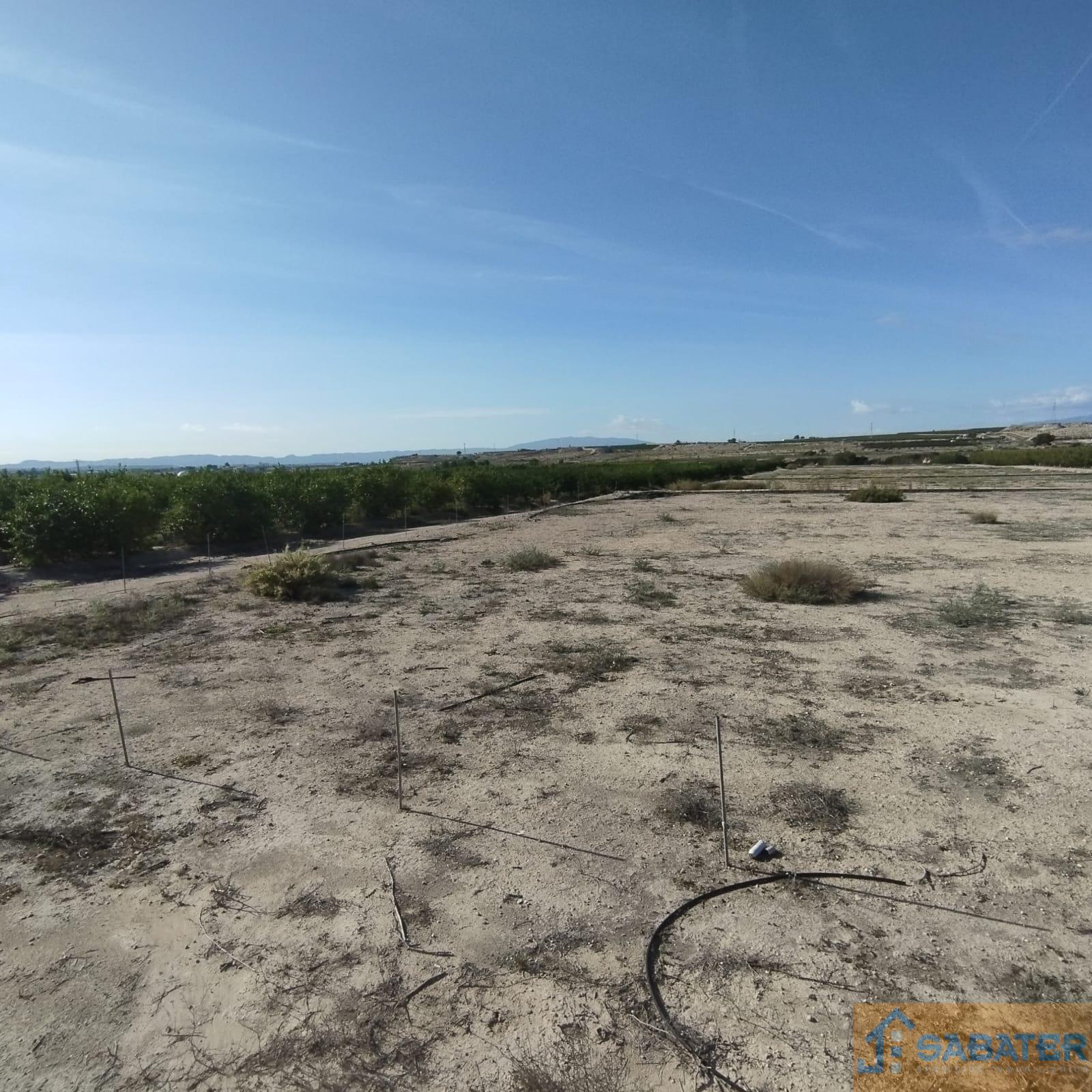 For sale of chalet in Molina de Segura