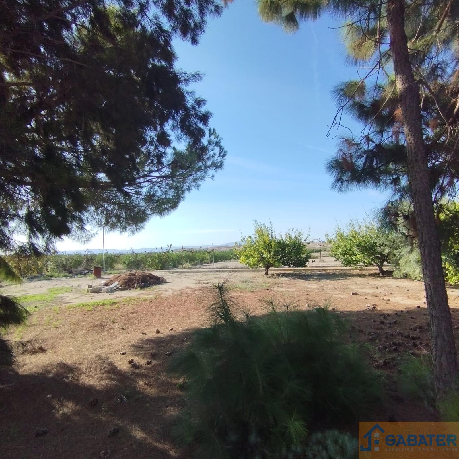 For sale of chalet in Molina de Segura