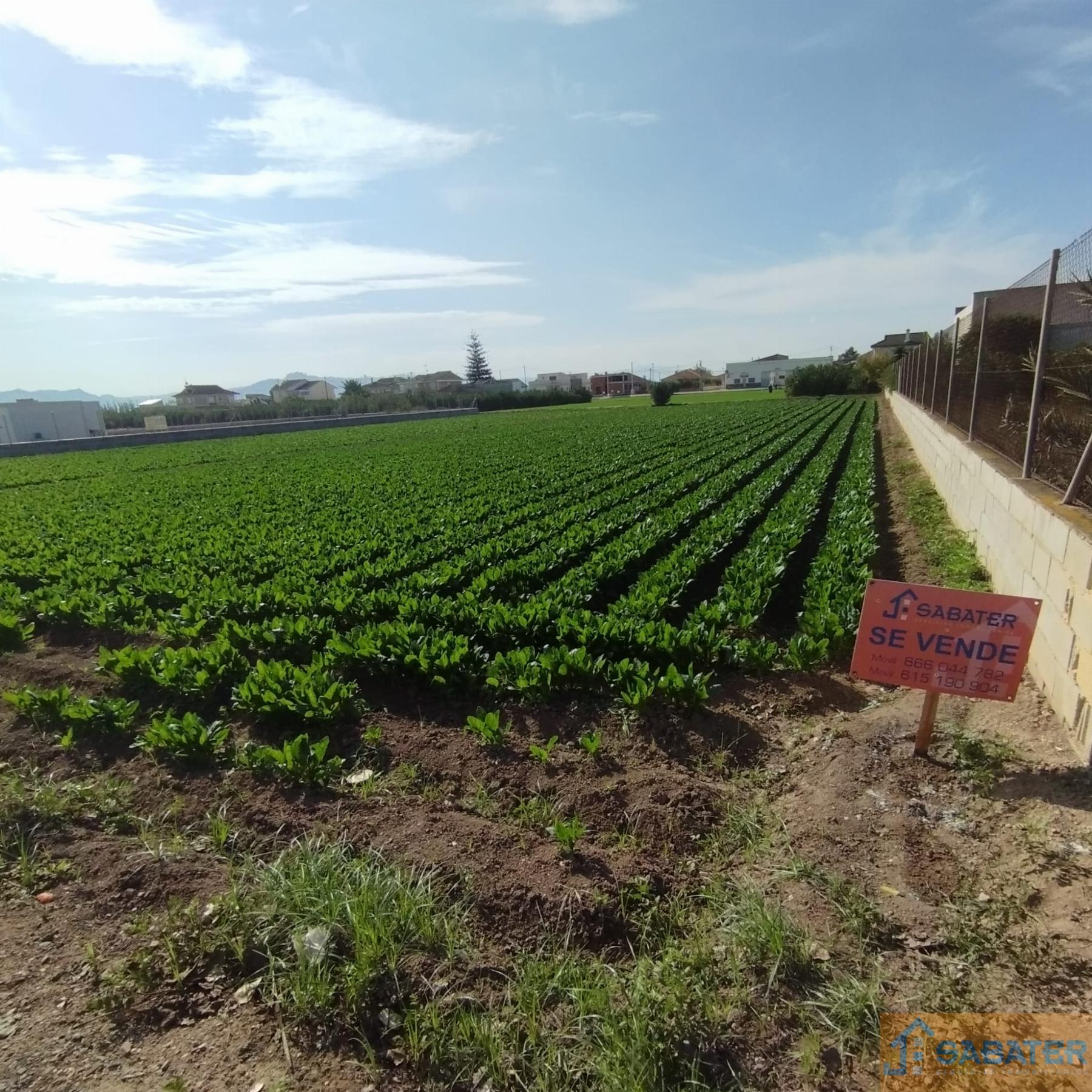 For sale of recreation property in Santa Cruz