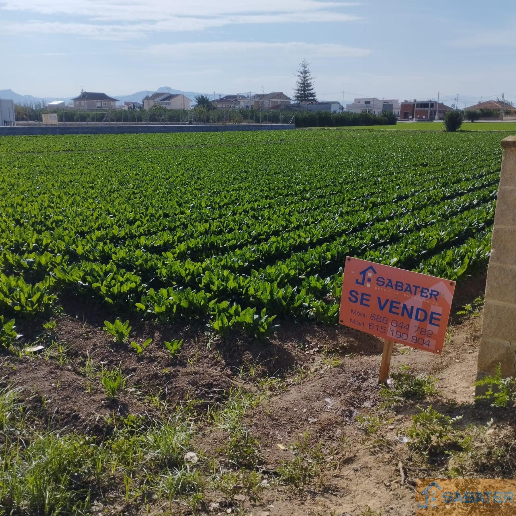 For sale of recreation property in Santa Cruz