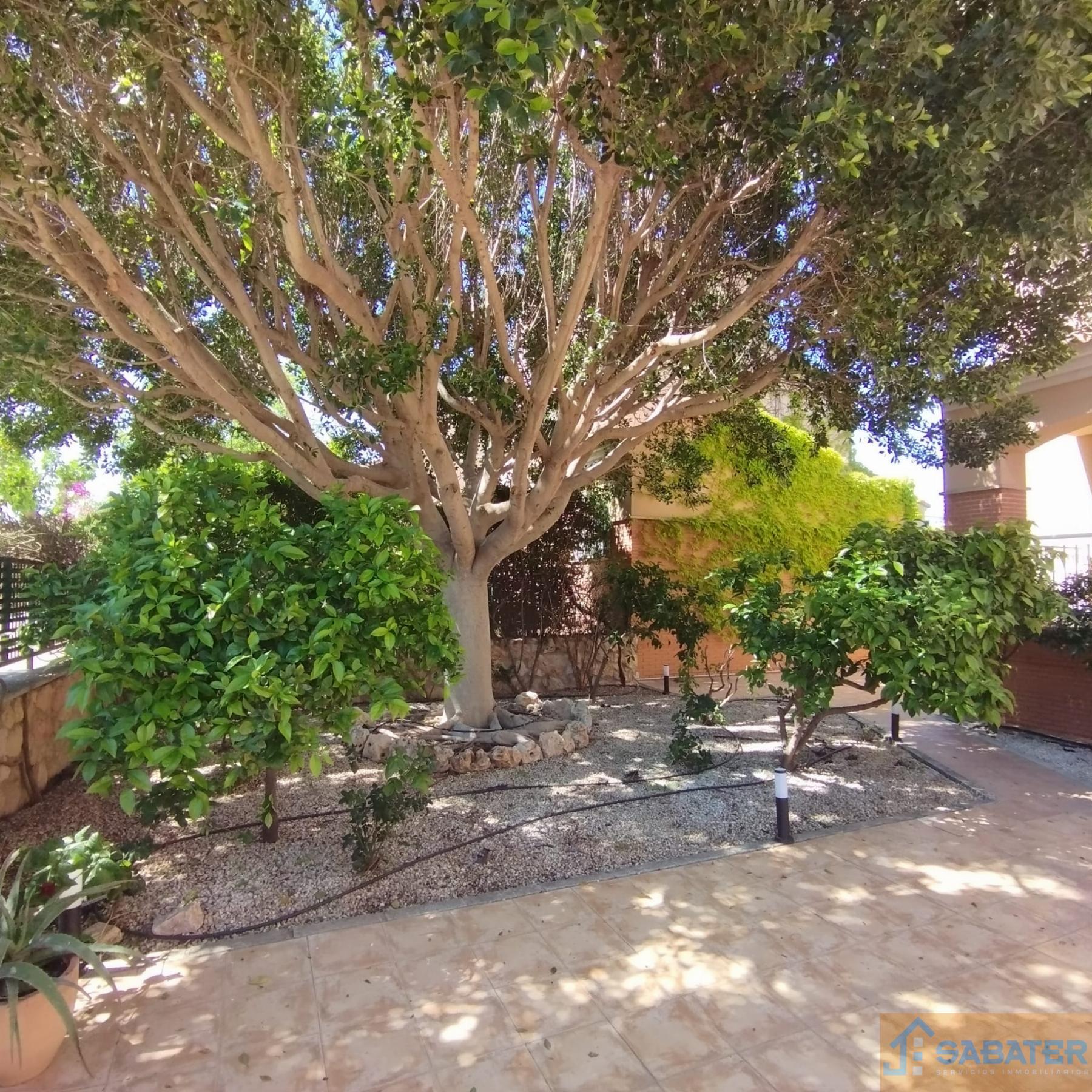 Alquiler de chalet en Churra