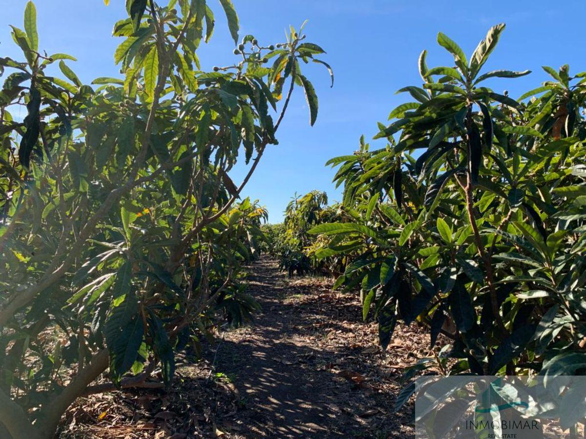 Venda de finca rústica a Salobreña