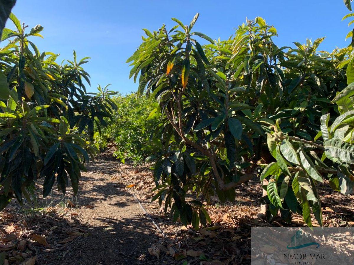 Venda de finca rústica a Salobreña