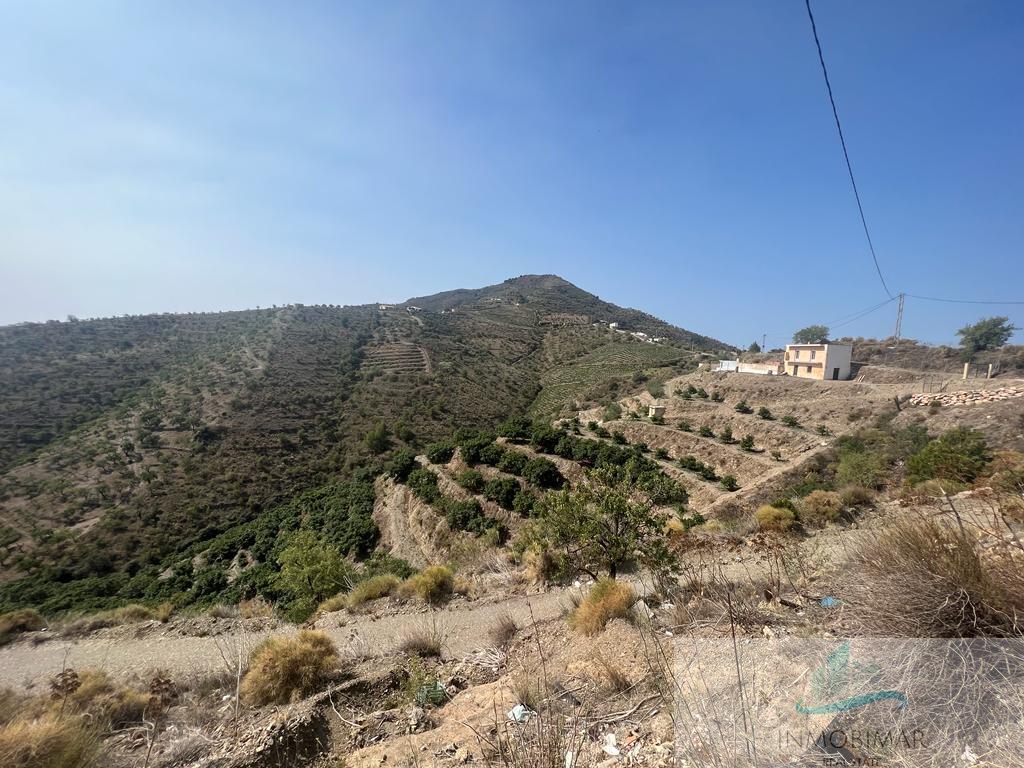 Venta de finca rústica en Itrabo