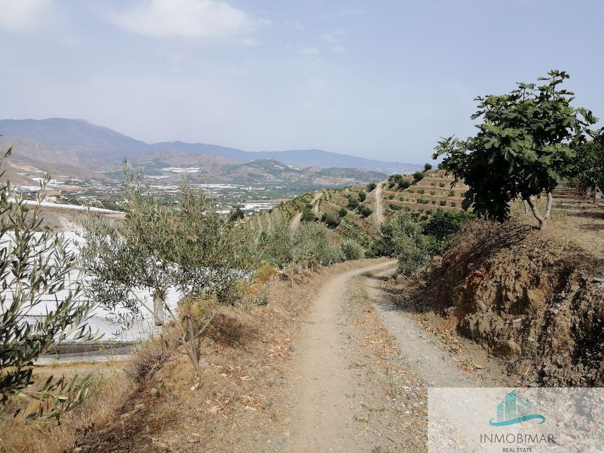 For sale of rural property in Salobreña