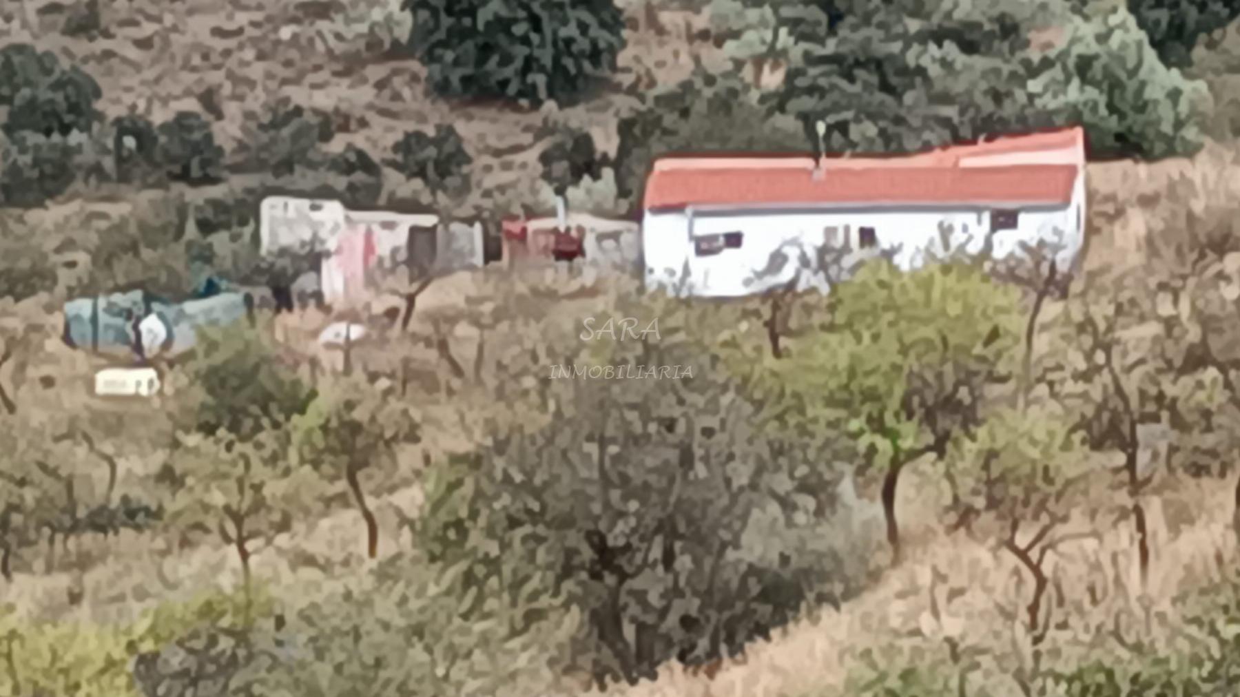 Venta de finca rústica en Roquetas de Mar