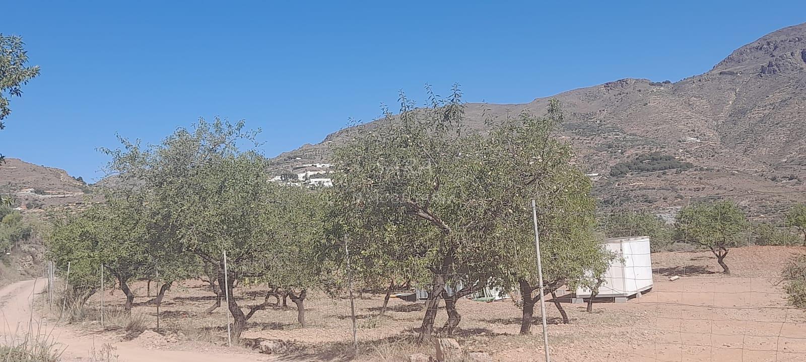 Venta de terreno en Felix