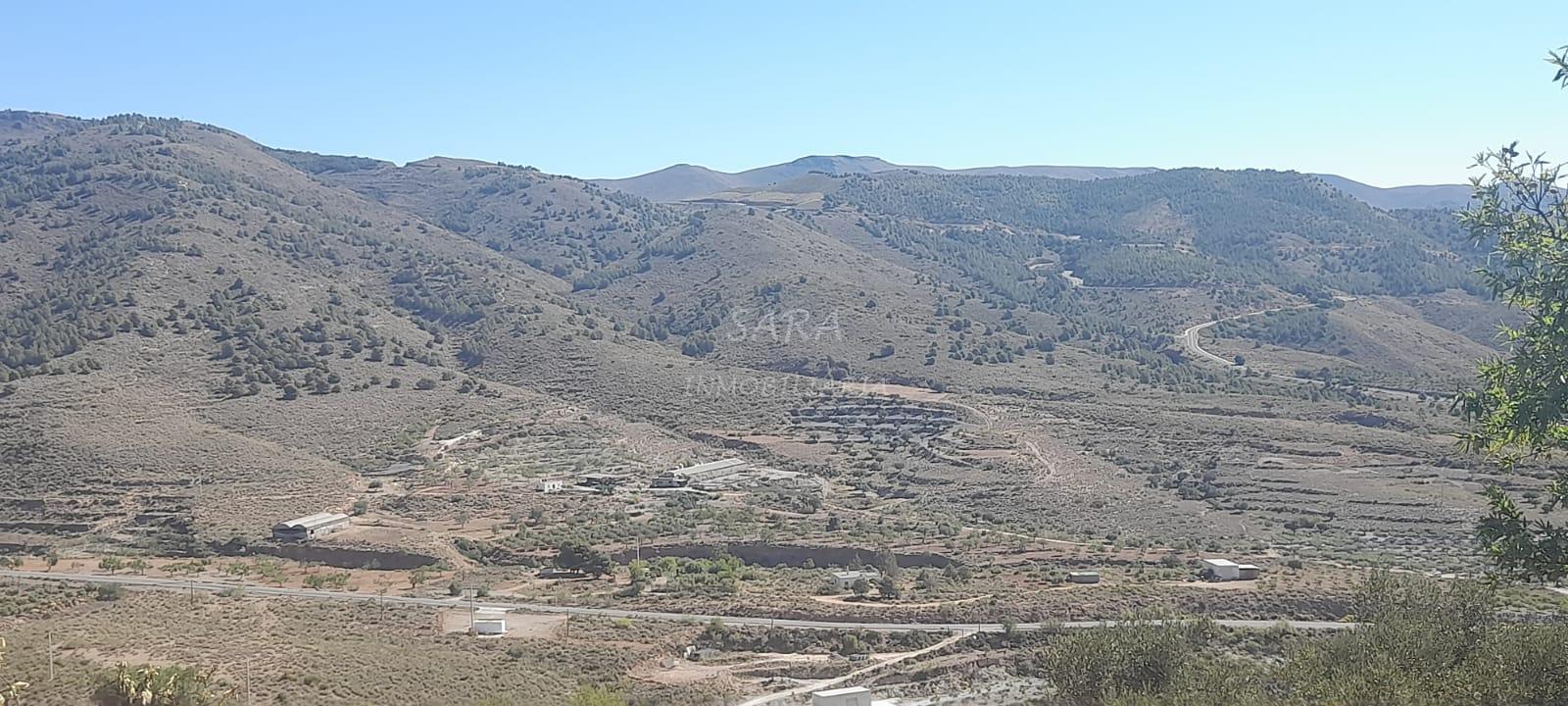 Venta de finca rústica en Tabernas