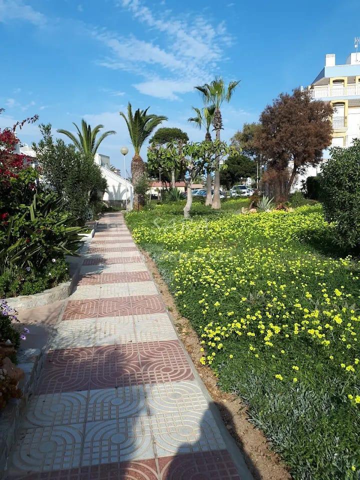 Alquiler de estudio en Roquetas de Mar