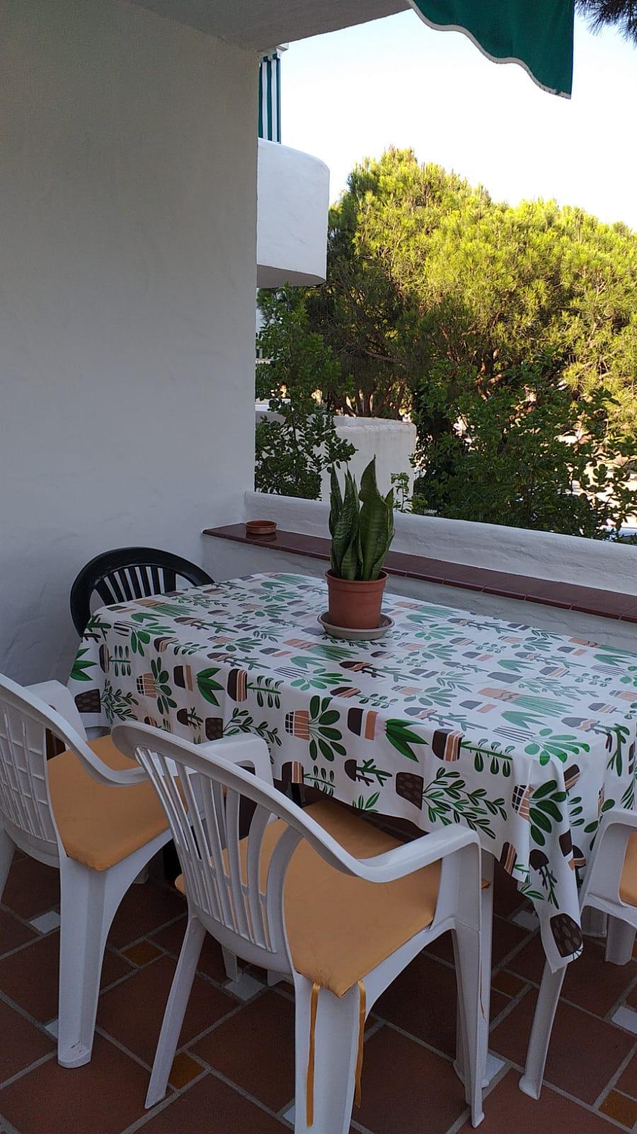 For rent of apartment in Chiclana de la Frontera