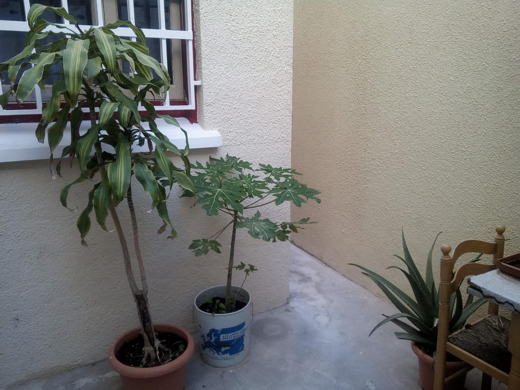 Venta de piso en San Fernando