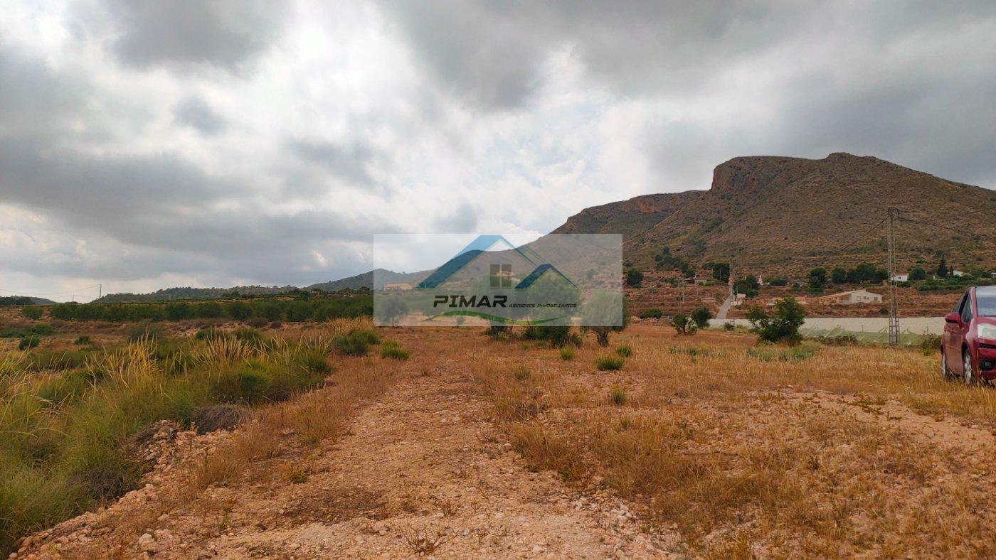 Terreno en venta en Carretera la romana, Novelda