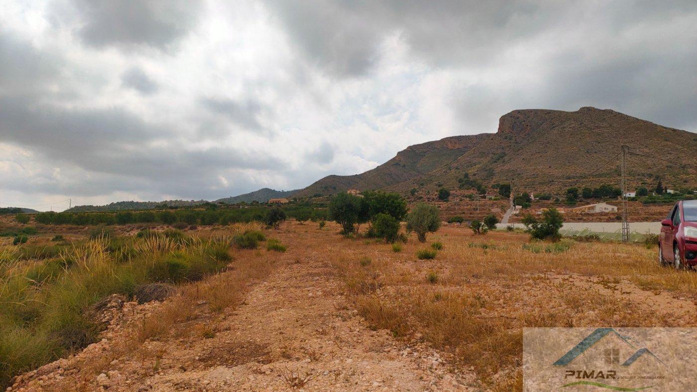 For sale of land in Novelda