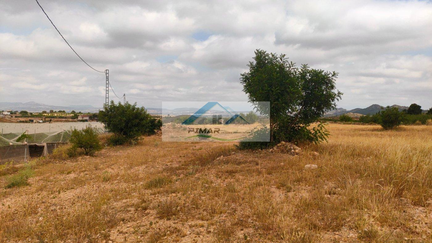 For sale of land in Novelda