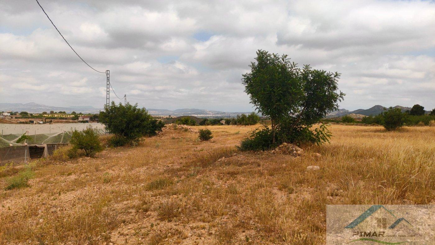 For sale of land in Novelda