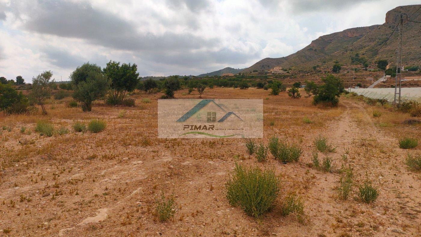 For sale of land in Novelda