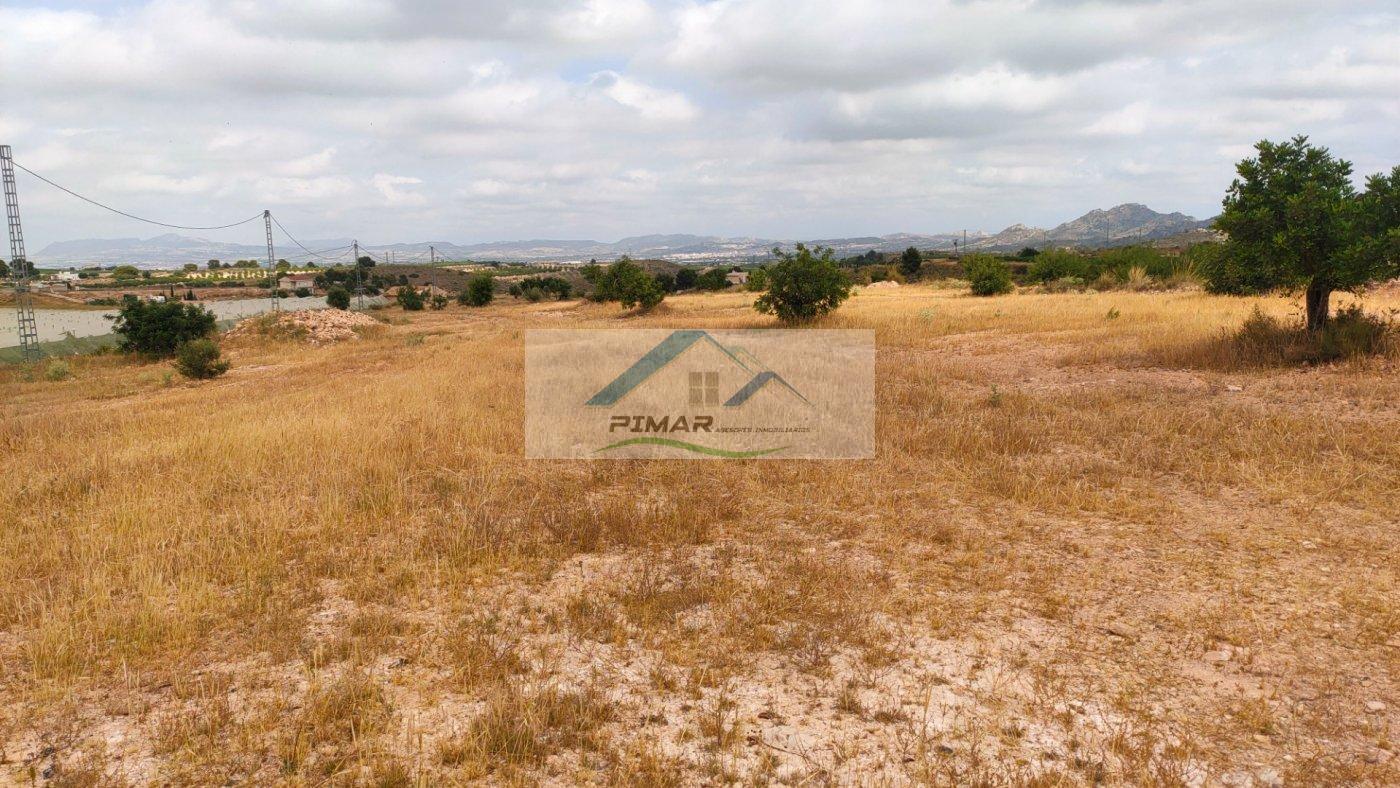 For sale of land in Novelda