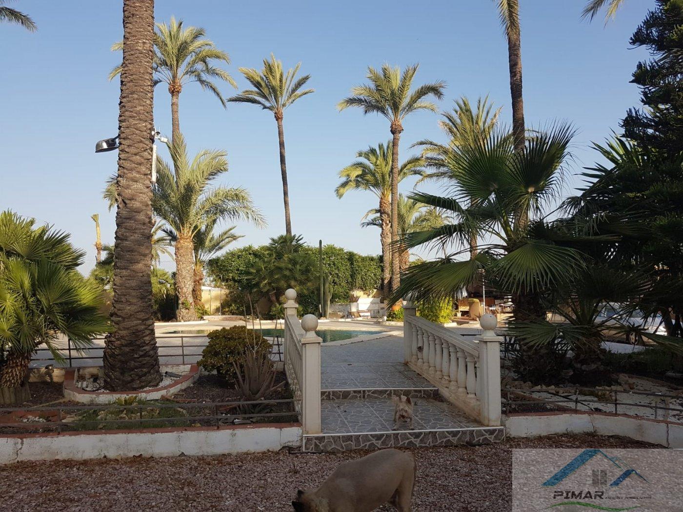 For sale of chalet in Elche pedanias