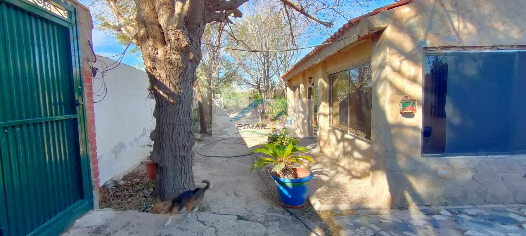 For sale of house in Agost