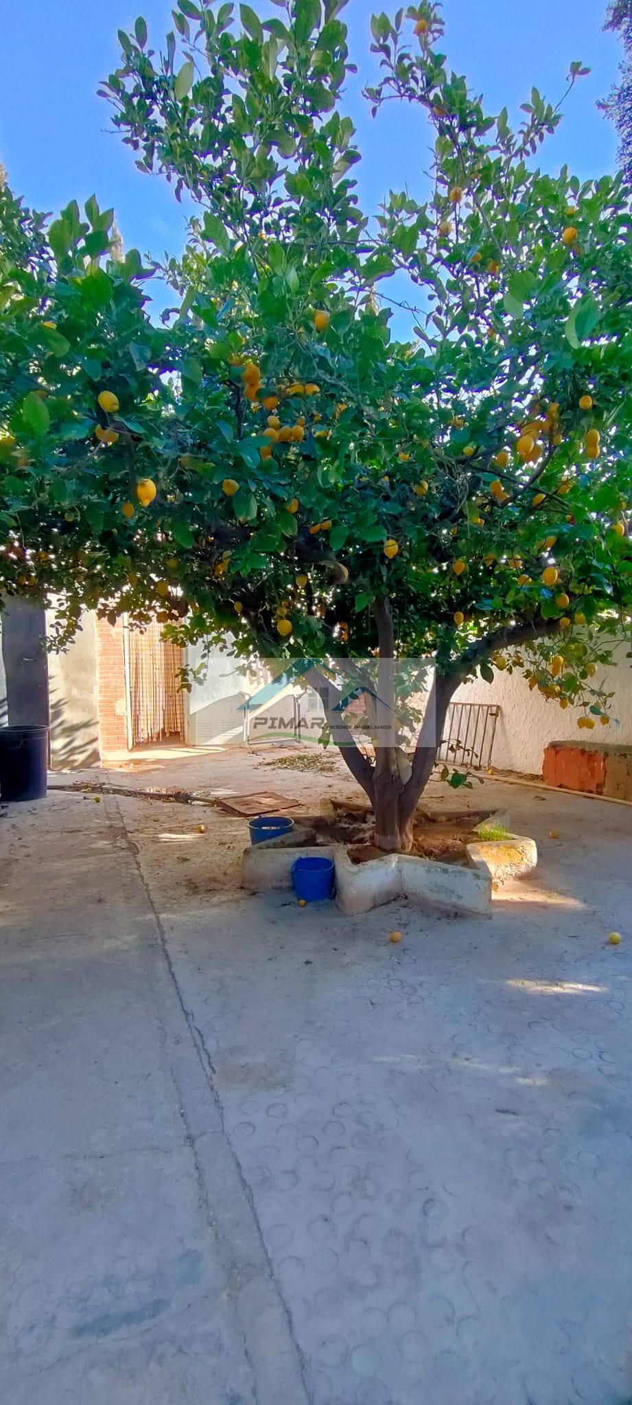 For sale of house in Agost