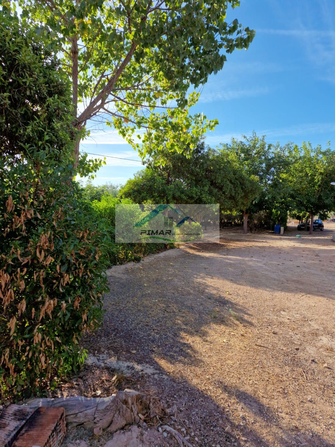 For sale of house in Aspe