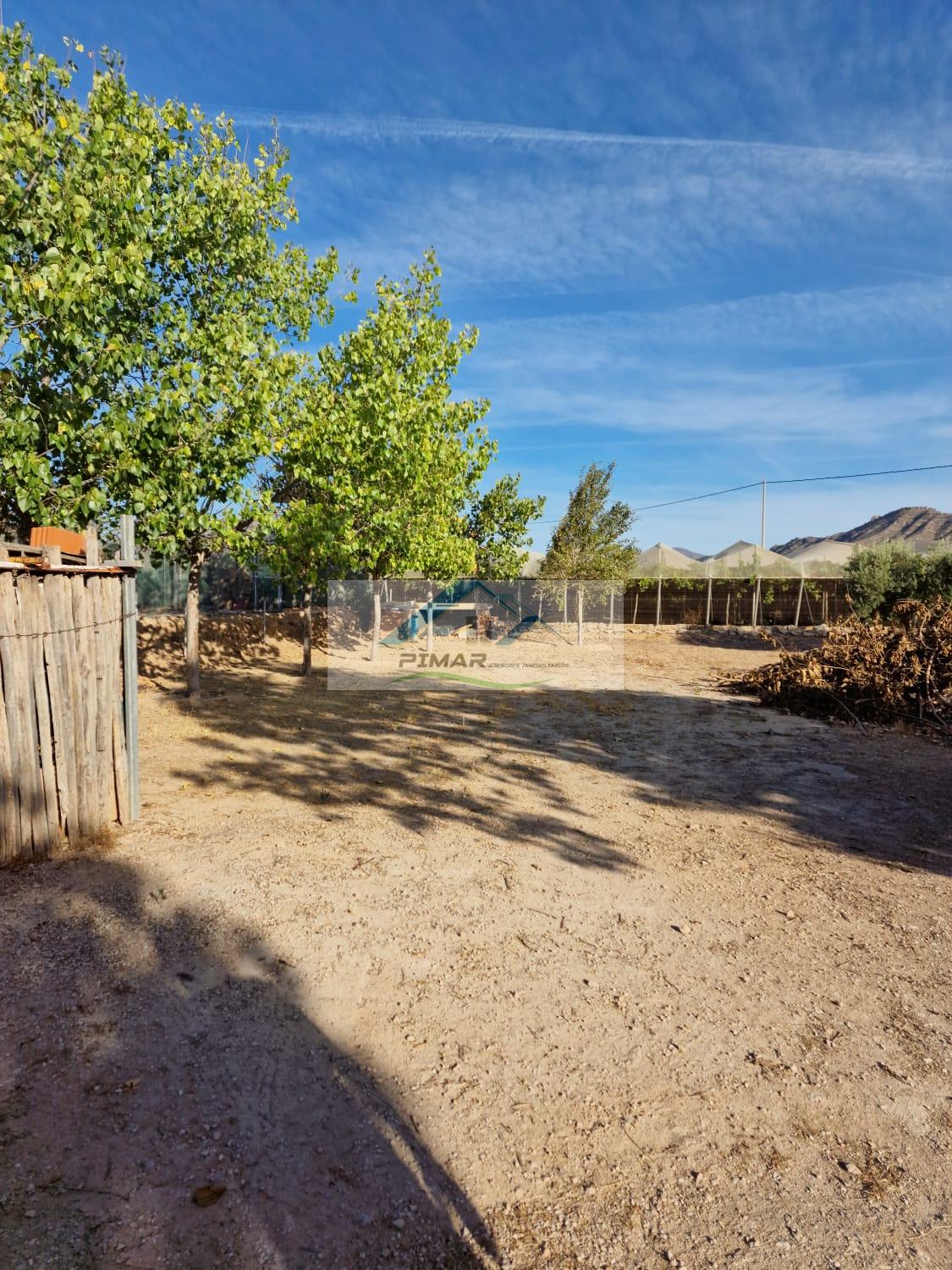 For sale of house in Aspe