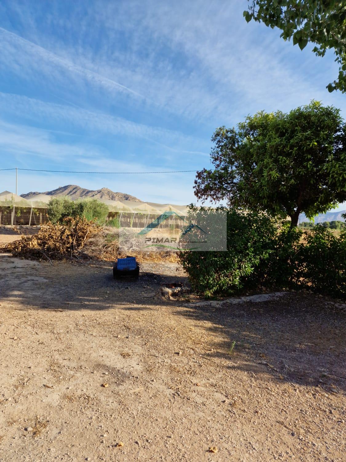 For sale of house in Aspe