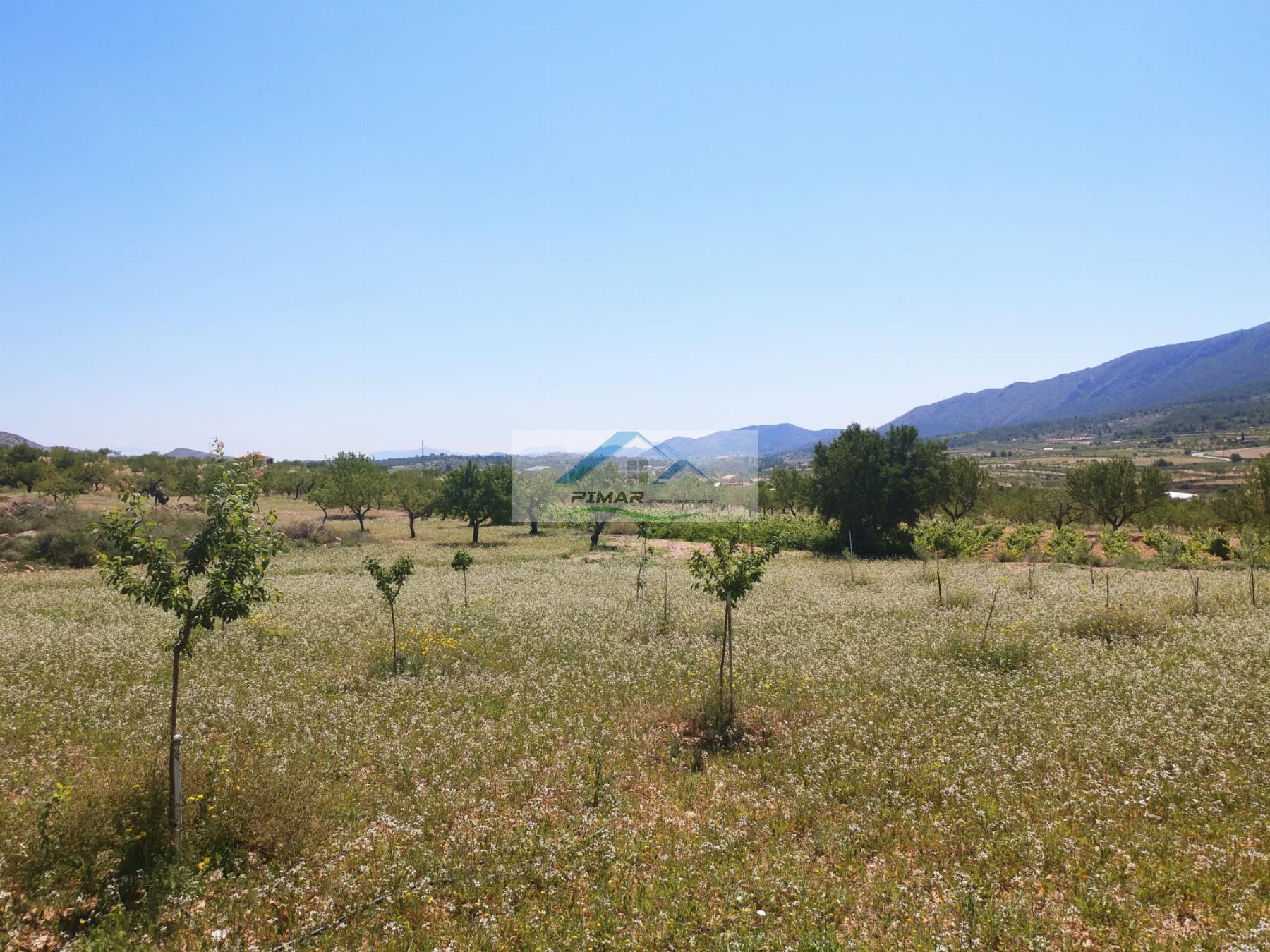 Vendita di terreno in La Romana