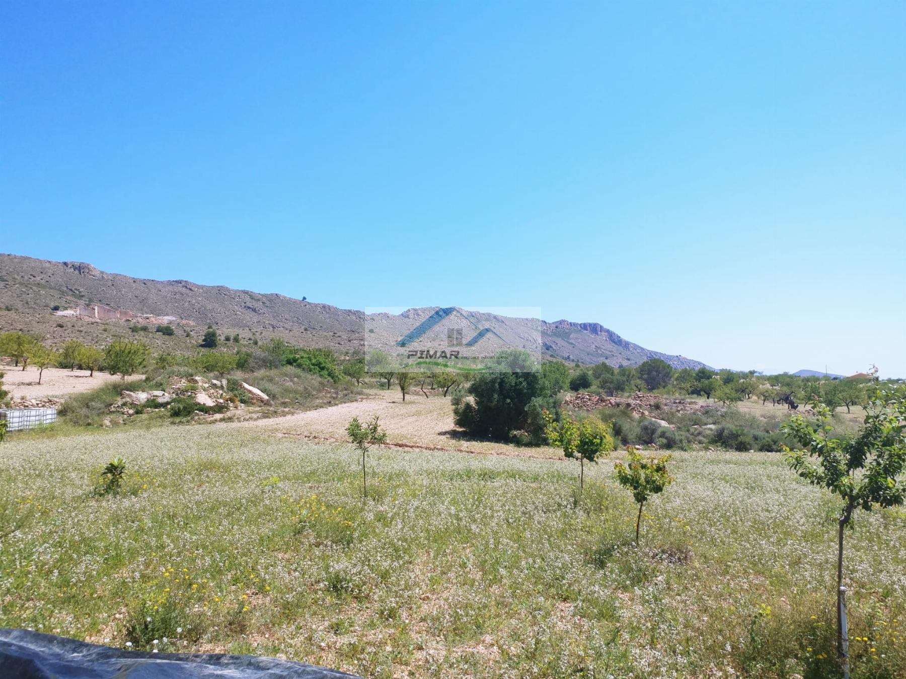 Vendita di terreno in La Romana
