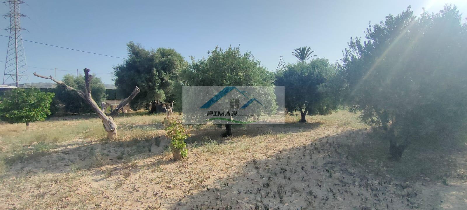 Venta de casa en Elche-Elx