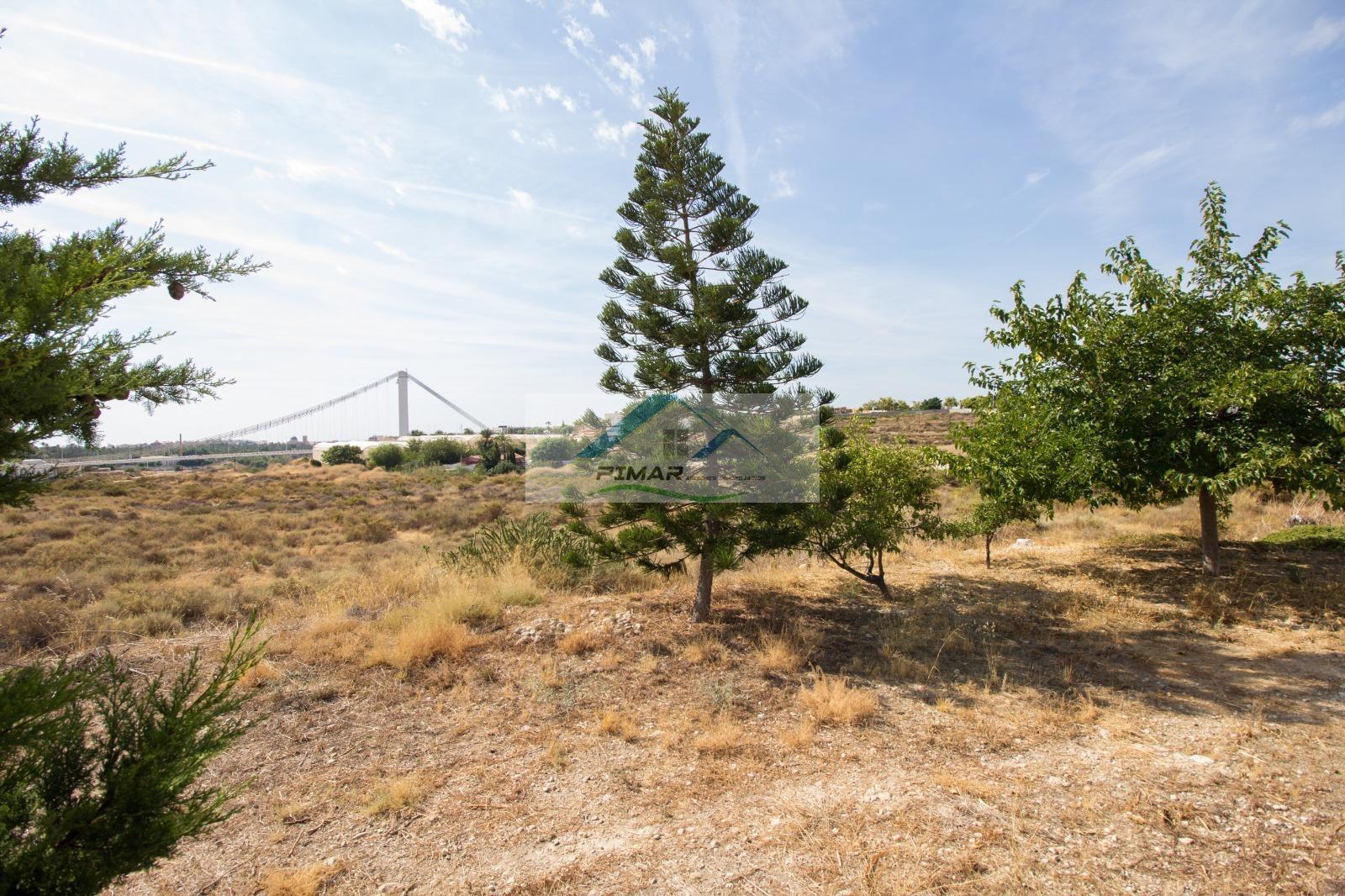 Zu verkaufen von chalet in
 Elche-Elx